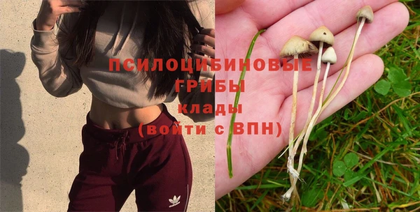 винт Алзамай