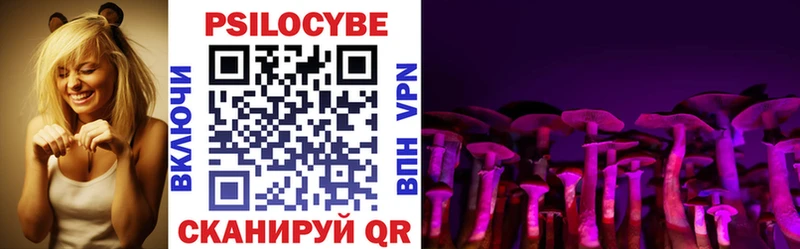 Галлюциногенные грибы Psilocybine cubensis  Холм 